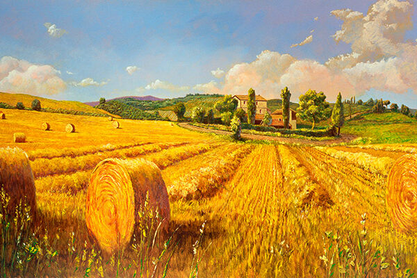 Campo in Toscana