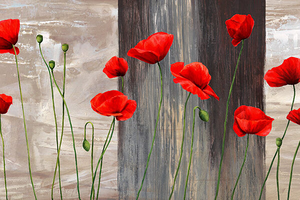 Country Poppies