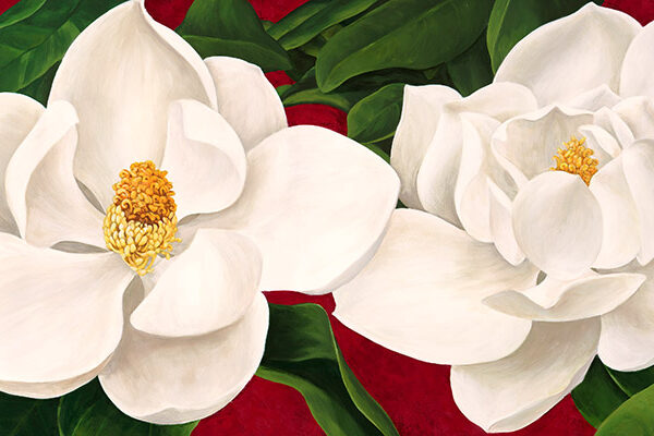 Magnolie in fiore