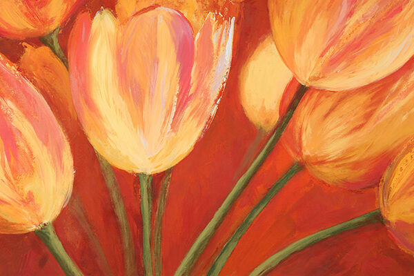 Orange Tulips