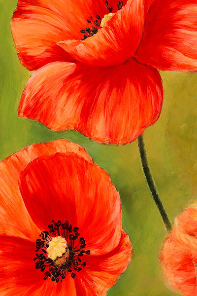 Poppies in the wind I