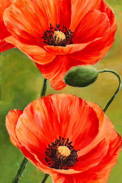 Poppies in the wind II