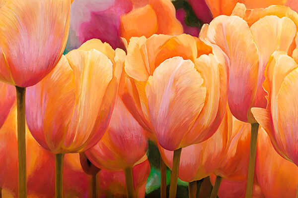 Summer Tulips