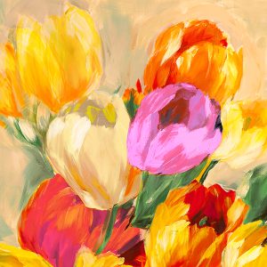 Colorful Tulips I